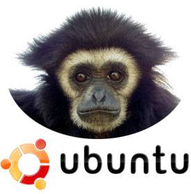 UBUNTU "EL VALENT GIBÓ", JA A LA "VENDA"